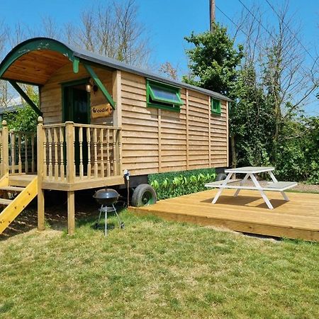 Woodie The Shepherds Hut - Sleeps 4 Чичестър Екстериор снимка